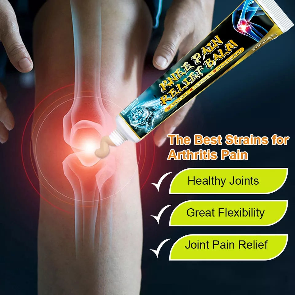 Knee Pain Relief Balm | Herbal Ointment for Rheumatoid Arthritis and Knee Joint Pains - Image 2