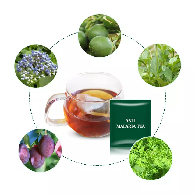 Anti-Malaria Tea | Herbal Tea for Malaria Prevention, Anti-Schistosomiasis and Boosting Immune - Image 12