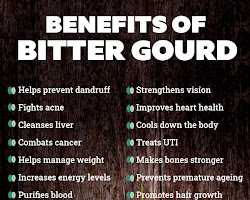 Bitter Gourd Tablet with Mulberry | Dietary Supplement for Pancreas, Cholesterol, Blood Pressure, and Blood Sugar - Image 2