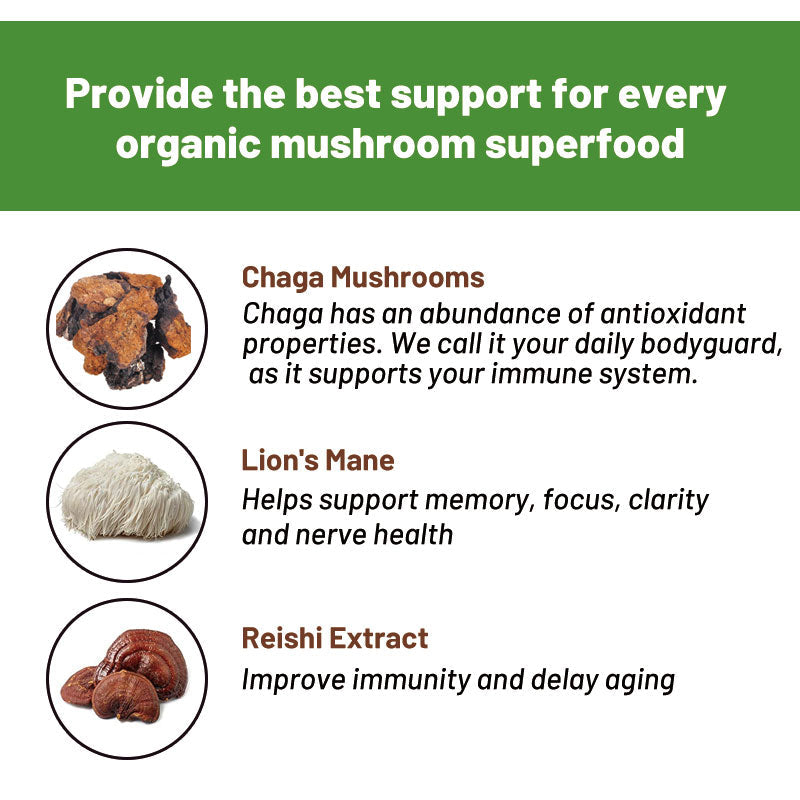 Mushroom Coffee with Protein and Caffeine | Instant Coffee for Energy, Focus, Gut, Memory, and Immunity - Image 2