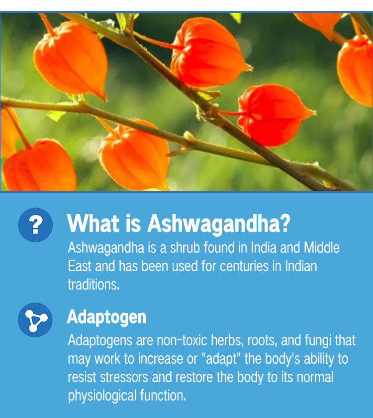 Ashwagandha Gummies with Maca and Vitamins | Dietary Supplement for Stress, Sleep, Testosterone, and Strength - Image 11