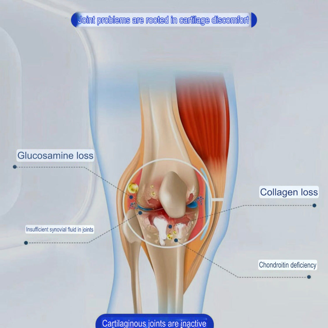 Glucosamine Massage Cream (100ml) | Topical Ointment for Bone, Muscle and Joint Pains Relief - Image 4