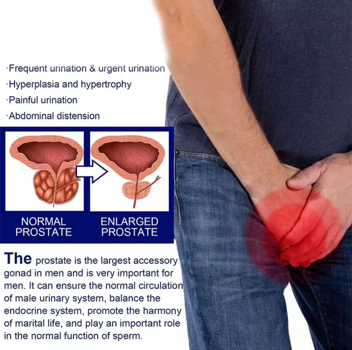Prostate Relief Cream | Topical Ointment for Enlarged Prostate, Frequent Urination, Painful Urination, and Sexual Fatigue - Image 3