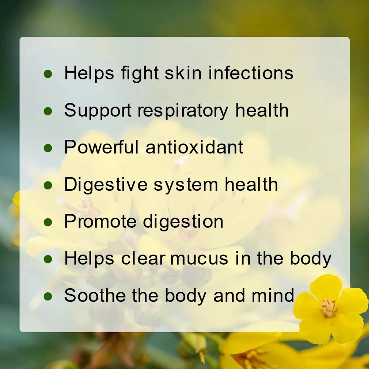 Mullein Leaf Tea | Herbal Tea for Coughs, Bronchitis, Asthma, Sore Throat, and Lungs Cleanse - Image 2