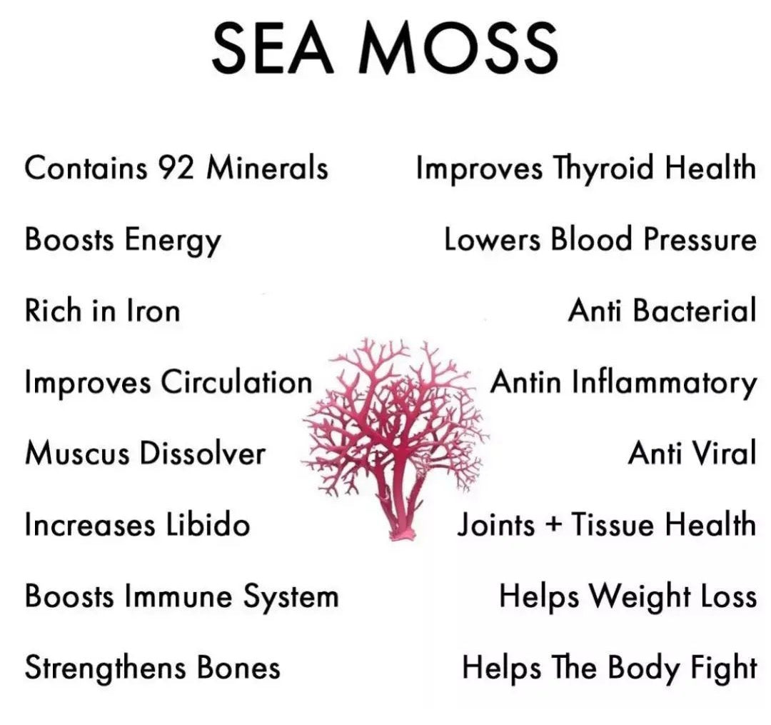 Sea Moss Gummies (1750mg) with Bladderwrack and Burdock Root | Dietary Supplement for Immune, Skin, Hair, Thyroid, and Weight Loss - Image 3