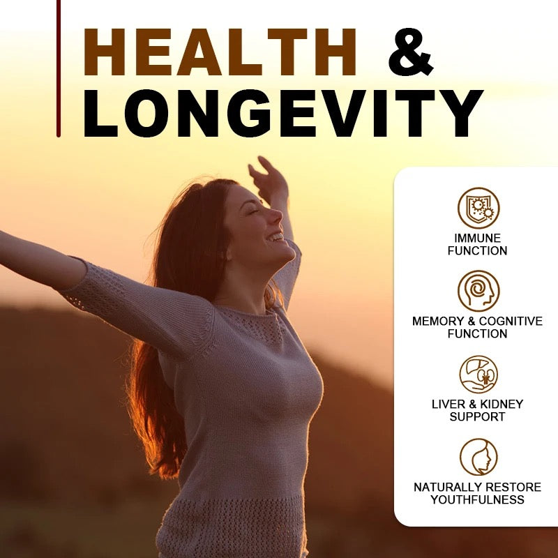 Mushroom Coffee with Protein and Caffeine | Instant Coffee for Energy, Focus, Gut, Memory, and Immunity - Image 3