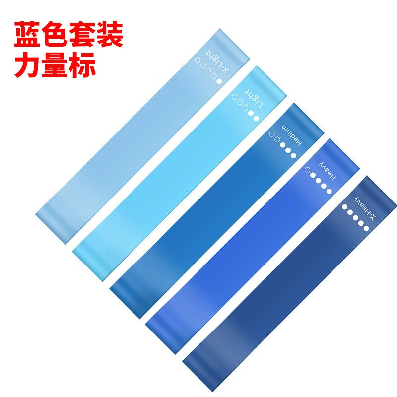 5-in-1 Resistance Loop Bands with Free Pouch (5 pieces — X-Light, Light, Medium, Heavy, and X-Heavy) - Image 13
