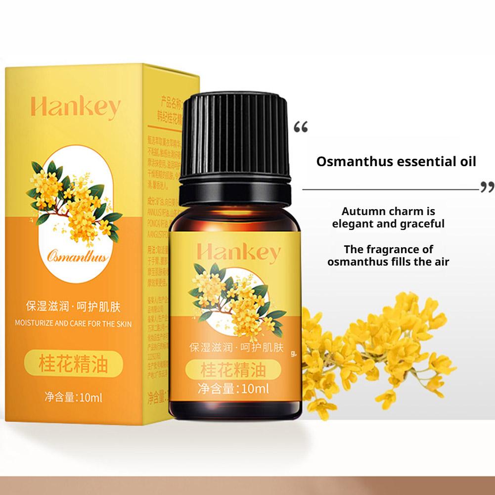 HANKEY Osmanthus Essential Oil for Massage and Aromatherapy (10ml) | Relaxing, Moisturizing and Elasticity Essential Oil - Image 2